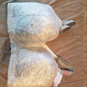 Cacique Intimates & Sleepwear - Cacique lounge bra Cacique Intimates & Sleepwear - Cacique lounge bra